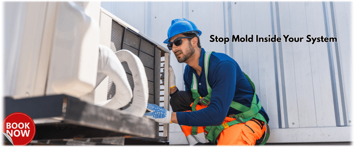 HVAC Mold Removal Arlington